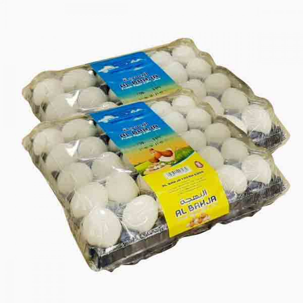 AL BAHJA BROWN/ WHITE EGGS 2 X 30 بيضة بنى البهجة 2×30