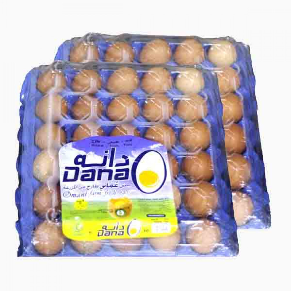 DANA  EGGS WHITE/BROWN TWIN PACK OFFER 2X30'S بيضة ابيض/بنى دانة 2