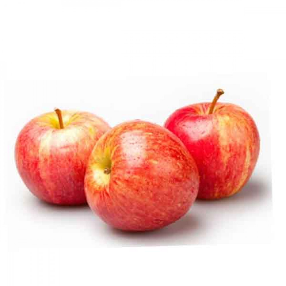 APPLE ROYAL GALA FRANCE تفاح رويال غالا 